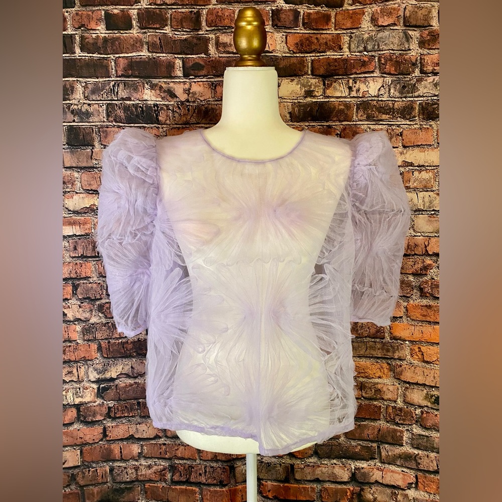 Purple Pastel Sheer Tulle Mesh Layer Top